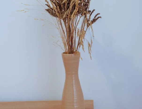 Alojamientos Citrus el Valle Apartamento Naranjo 13