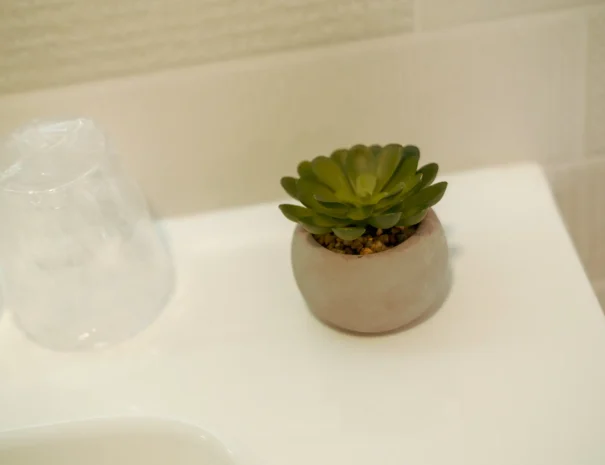 Alojamientos Citrus El Valle Apartamento Naranjo 20