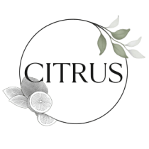 300x300 transparente